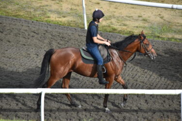 クラシックステップ　9/20中京5レース芝1600m