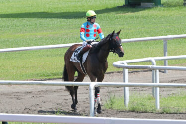 イルチルコ　9/26中山3レース芝1800m出走