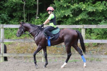 ケリーズノベル　新馬戦14着