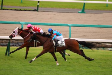 イルチルコ　未勝利戦勝利！！