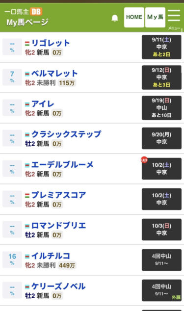 今後の所有馬、出走予定