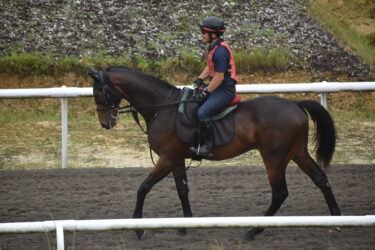 インディゴブラック　デビュー戦　4着