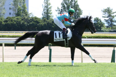 アルファカリーナ　10/17 阪神3R芝1800m出走予定