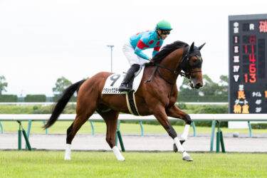 クラシックステップ　10/9 新潟6R結果