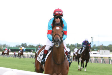 ベッラノーヴァ　十日町特別　12着