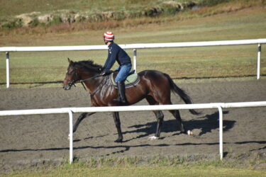 カルトゥーシュ　新馬戦チャレンジ
