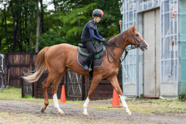カーティアス　新馬戦