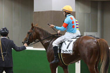 カーティアス　新馬戦　5着