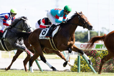 阪神カップ全頭診断