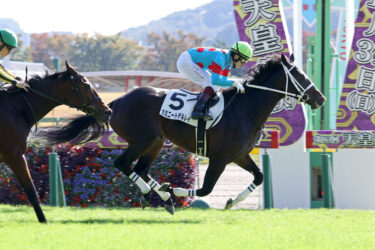 カミニートデルレイ　ベゴニア賞