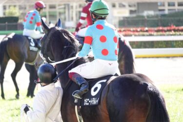 カミニートデルレイ　ベゴニア賞4着