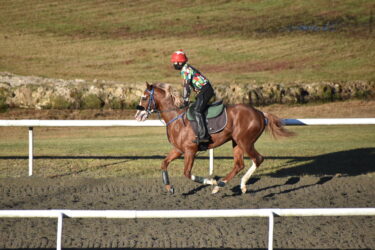 クレバーテースト　新馬戦