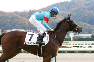 エーデルブルーメ　3戦目