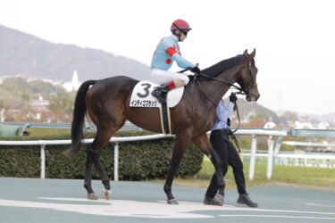 インディゴブラック　3戦目結果