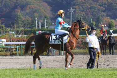 ミエリ　7戦目