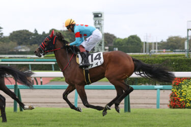 シルク　3/18　外厩、在厩馬の更新