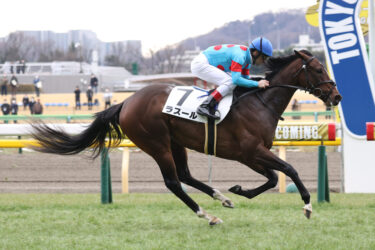 シルク20　追加募集決定！　中間票追記！