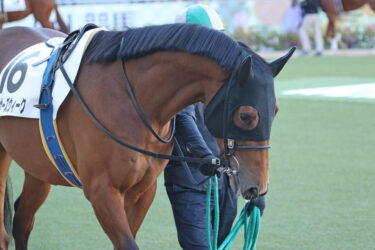 アーサーズウィーク　4戦目