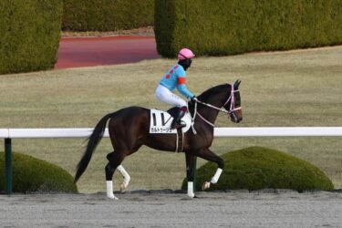 カルトゥーシュ　4戦目