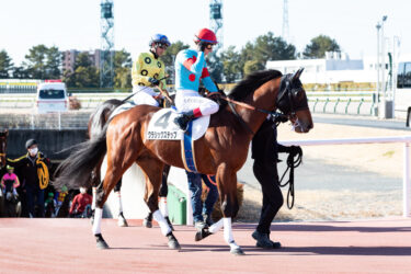 インディゴブラック　5戦目8着