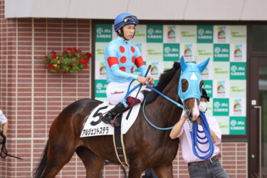 アルジェントステラ　6戦目14着