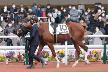クレバーテースト　2戦目9着