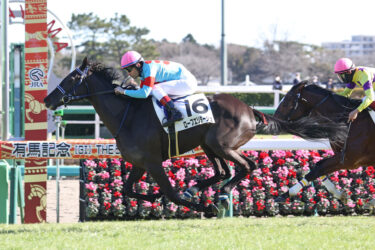 シルク22　2022年度1歳募集馬　予定馬リスト