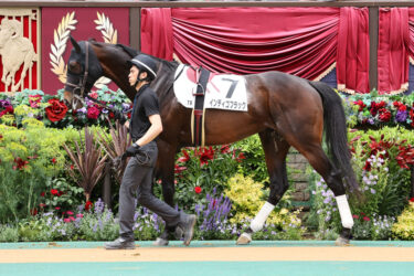 5月14日、15日の出走馬結果