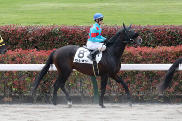 5月28日、29日の出走馬結果