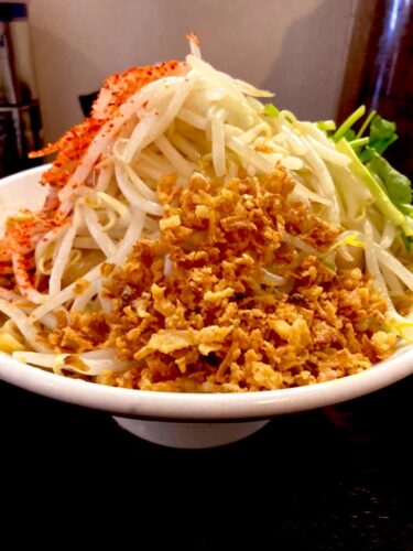 2023年2歳世代　8月21日更新